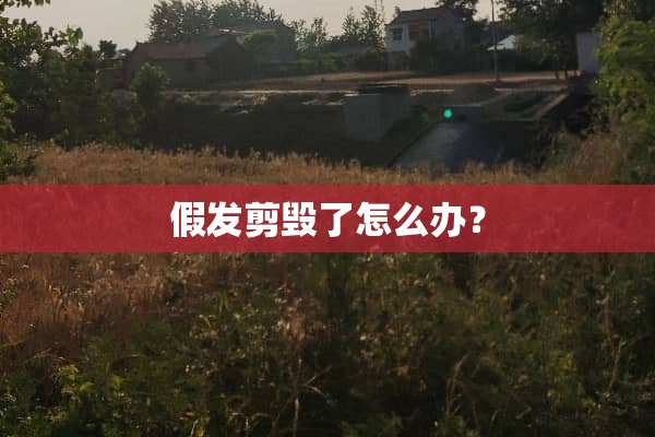 假发剪毁了怎么办？