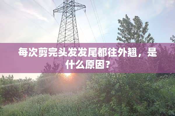 每次剪完头发发尾都往外翘，是什么原因？