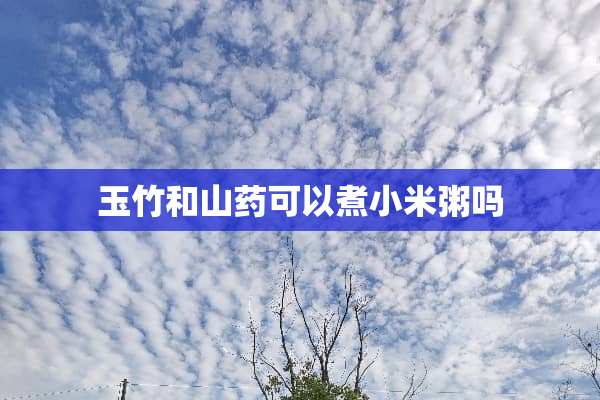 玉竹和山药可以煮小米粥吗