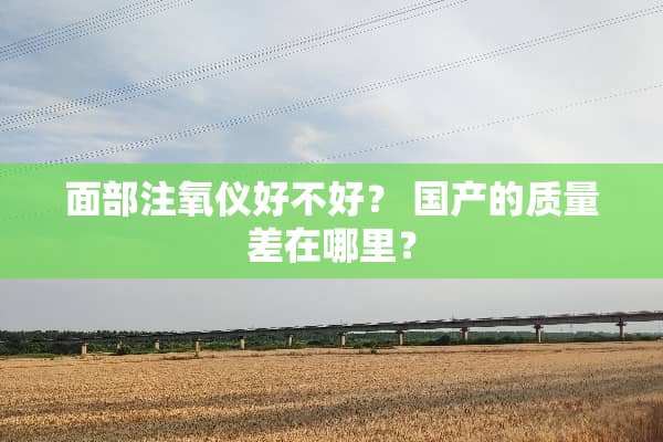 面部注氧仪好不好？ 国产的质量差在哪里？