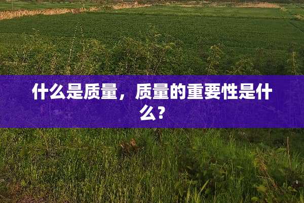 什么是质量，质量的重要性是什么？