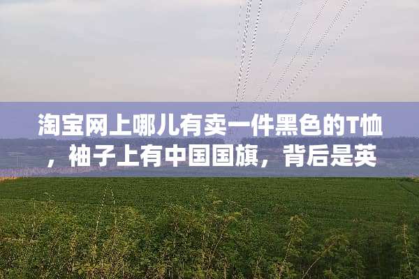 淘宝网上哪儿有卖一件黑色的T恤，袖子上有中国国旗，背后是英文“police”