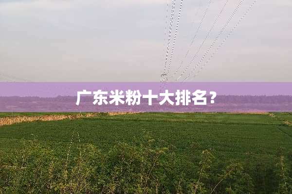 广东米粉十大排名？