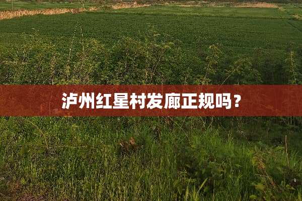 泸州红星村发廊正规吗？