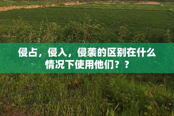 侵占，侵入，侵袭的区别在什么情况下使用他们？？