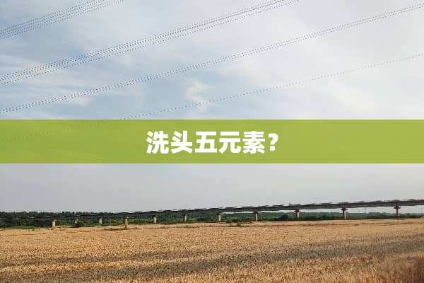 洗头五元素？