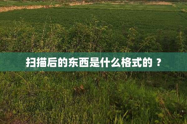 扫描后的东西是什么格式的 ？