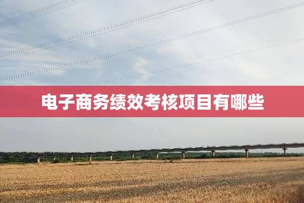电子商务绩效考核项目有哪些