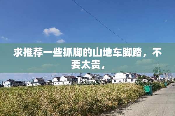 求推荐一些抓脚的山地车脚踏，不要太贵，