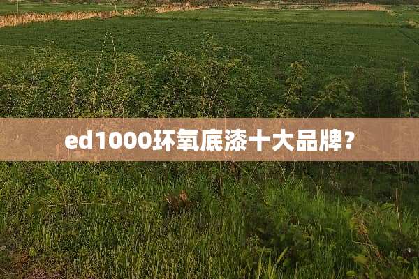 ed1000环氧底漆十大品牌？