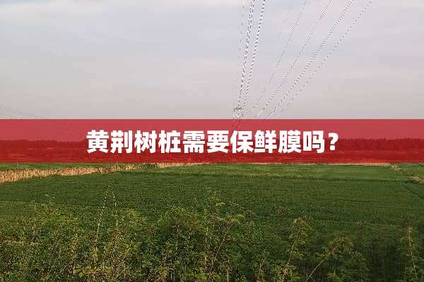 黄荆树桩需要保鲜膜吗？