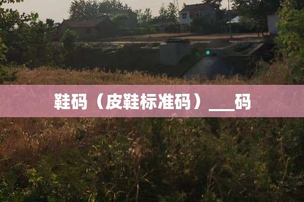 鞋码（皮鞋标准码）___码