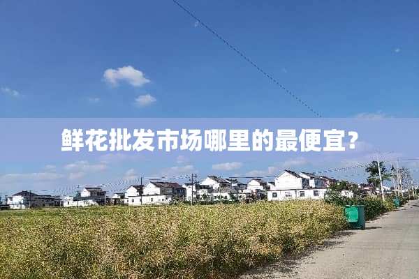 鲜花批发市场哪里的最便宜？