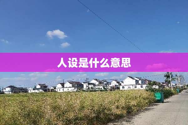 人设是什么意思