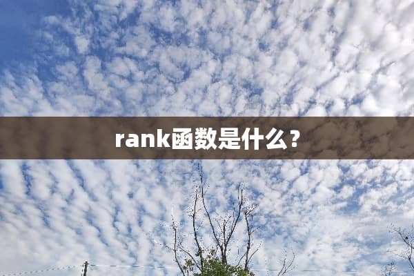 rank函数是什么？