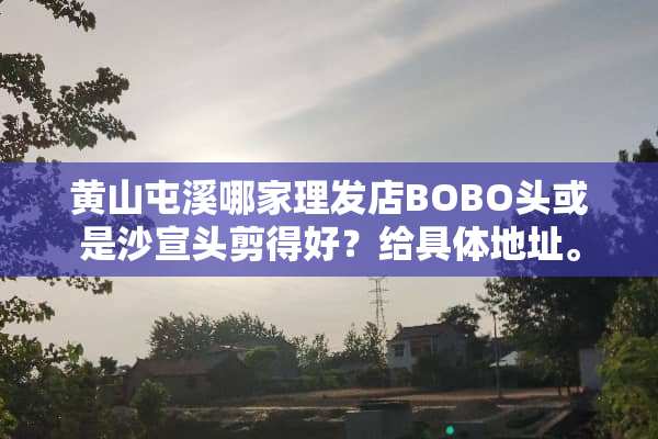 黄山屯溪哪家理发店BOBO头或是沙宣头剪得好？给具体地址。