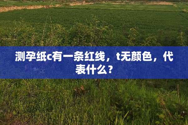 测孕纸c有一条红线，t无颜色，代表什么？