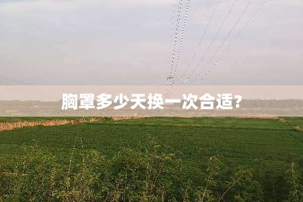 **多少天换一次合适？