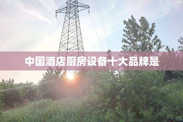 中国酒店厨房设备十大品牌是