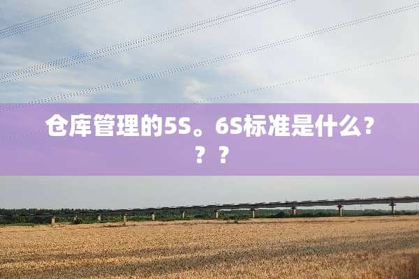 仓库管理的5S。6S标准是什么？？？