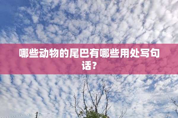 哪些动物的尾巴有哪些用处写句话？
