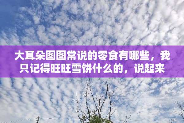 大耳朵图图常说的零食有哪些，我只记得旺旺雪饼什么的，说起来很顺嘴，很多？