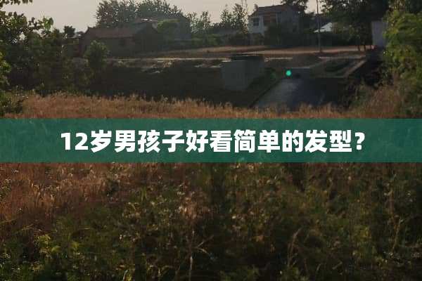 12岁男孩子好看简单的发型？