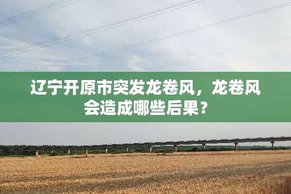 辽宁开原市突发***，***会造成哪些后果？