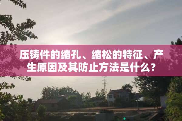 压铸件的缩孔、缩松的特征、产生原因及其防止方法是什么？