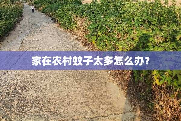 家在农村蚊子太多怎么办？