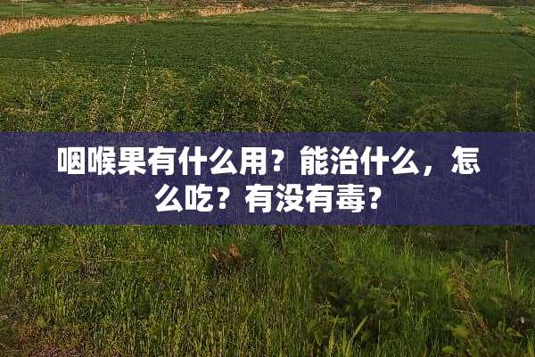 咽喉果有什么用？能治什么，怎么吃？有没有毒？