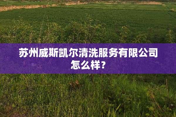 苏州威斯凯尔清洗服务有限公司怎么样？