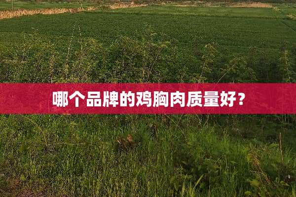 哪个品牌的鸡胸肉质量好？