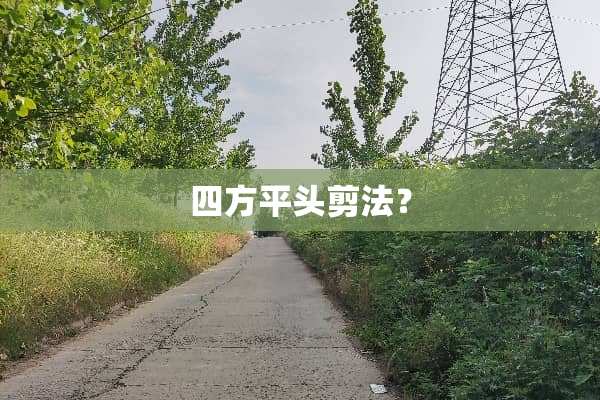 四方平头剪法？