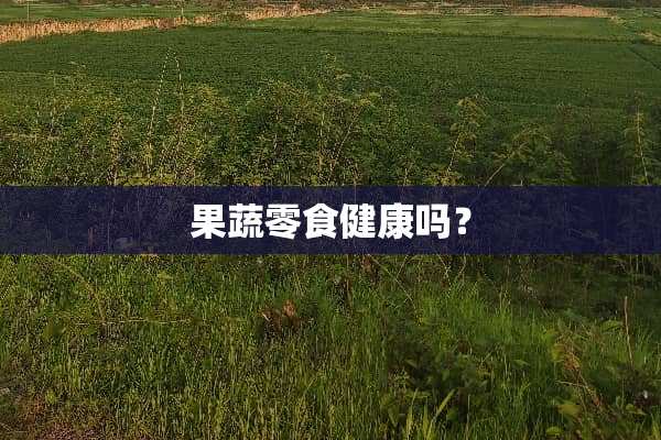 果蔬零食健康吗？