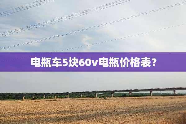 电瓶车5块60v电瓶价格表？