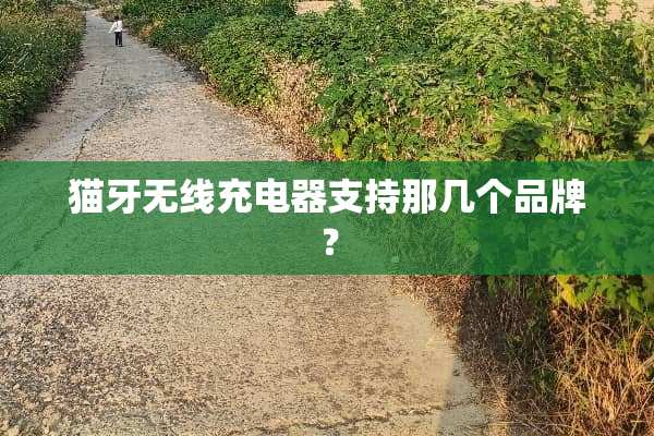 猫牙无线充电器支持那几个品牌？