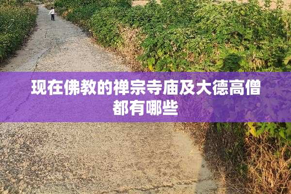 现在佛教的禅宗寺庙及大德高僧都有哪些