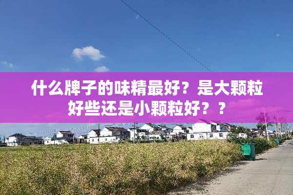 什么牌子的味精最好？是大颗粒好些还是小颗粒好？？