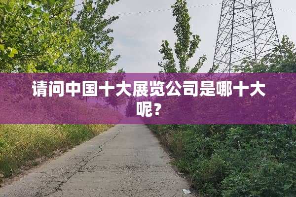 请问中国十大展览公司是哪十大呢？