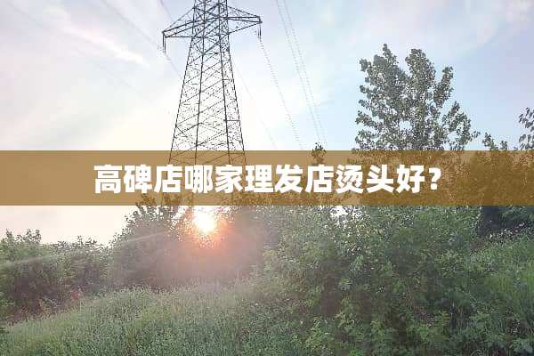 高碑店哪家理发店烫头好？