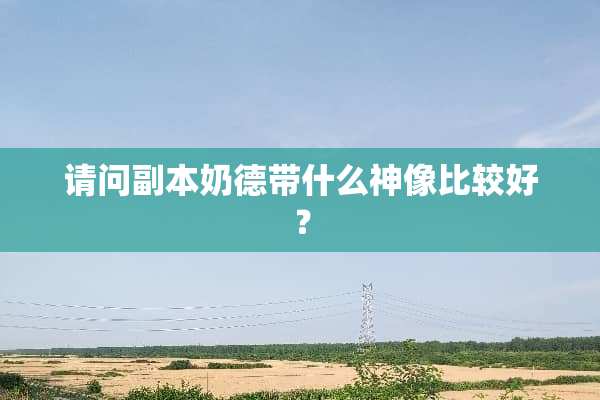 请问副本奶德带什么神像比较好？