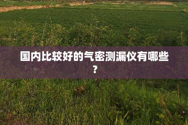 国内比较好的气密测漏仪有哪些？
