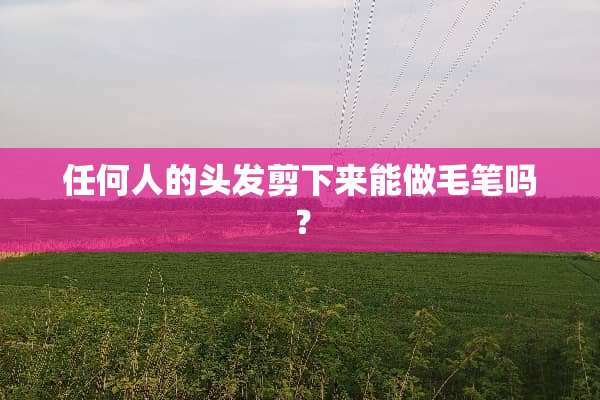 任何人的头发剪下来能做毛笔吗？