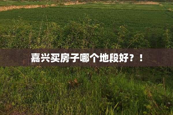嘉兴买房子哪个地段好？！