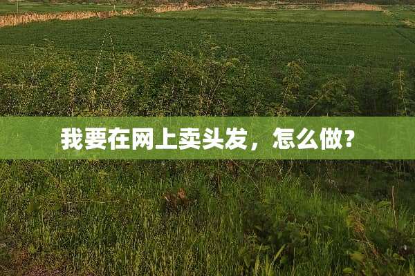 我要在网上卖头发，怎么做？