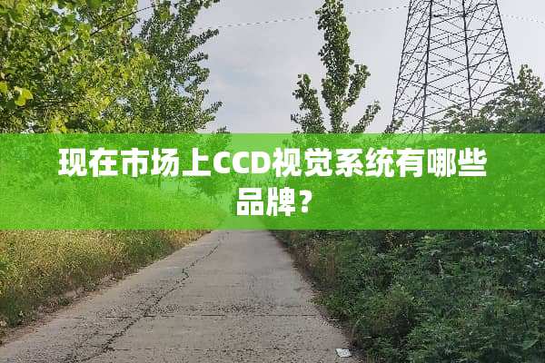 现在市场上CCD视觉系统有哪些品牌？