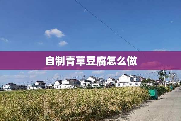 自制青草豆腐怎么做