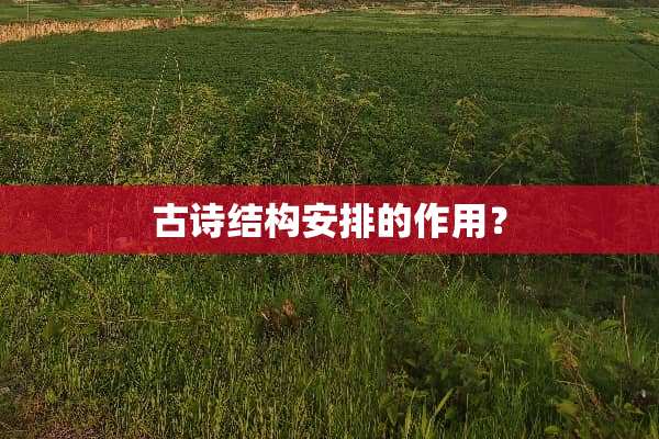 古诗结构安排的作用？