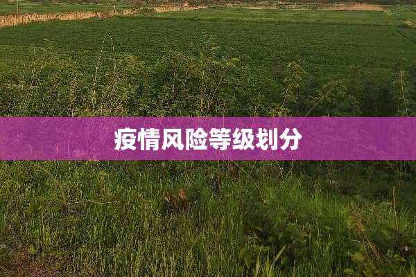疫情风险等级划分